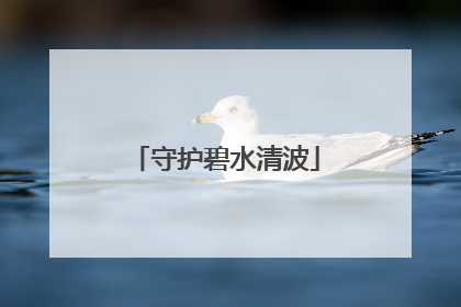 守护碧水清波