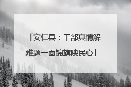 安仁县：干部真情解难题一面锦旗映民心