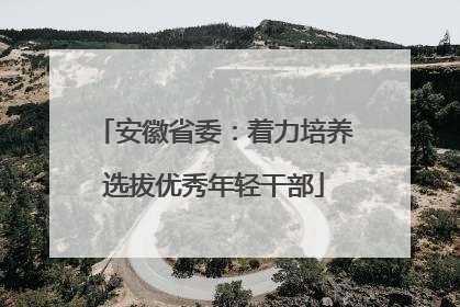 安徽省委：着力培养选拔优秀年轻干部