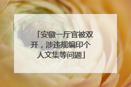 安徽一厅官被双开，涉违规编印个人文集等问题