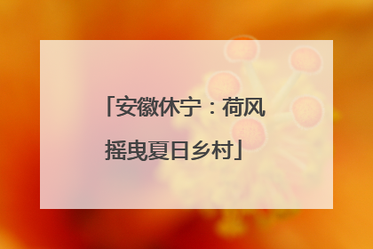 安徽休宁：荷风摇曳夏日乡村