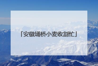 安徽埇桥小麦收割忙