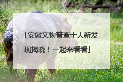 安徽文物普查十大新发现揭晓！一起来看看