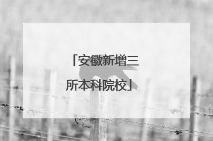 安徽新增三所本科院校