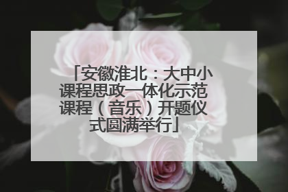 安徽淮北：大中小课程思政一体化示范课程（音乐）开题仪式圆满举行