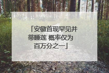 安徽首现罕见并蒂睡莲 概率仅为百万分之一