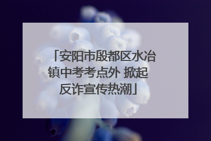 安阳市殷都区水冶镇中考考点外 掀起反诈宣传热潮