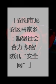 安阳市龙安区马家乡：凝聚社会合力 织密防汛“安全网”