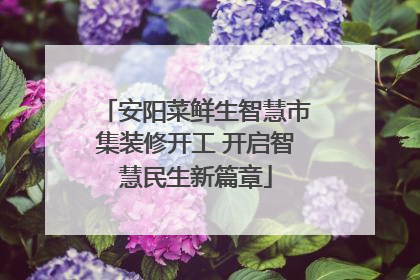 安阳菜鲜生智慧市集装修开工 开启智慧民生新篇章