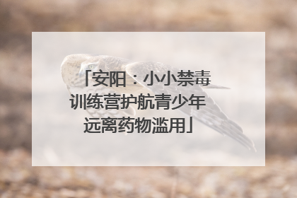 安阳：小小禁毒训练营护航青少年远离药物滥用