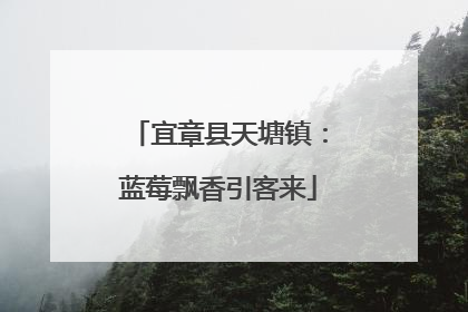 宜章县天塘镇：蓝莓飘香引客来