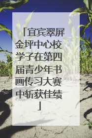宜宾翠屏金坪中心校学子在第四届青少年书画传习大赛中斩获佳绩