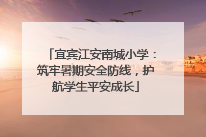 宜宾江安南城小学：筑牢暑期安全防线，护航学生平安成长