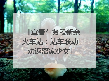宜春车务段新余火车站：站车联动劝返离家少女