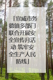 宣威市务德镇多部门联合开展安全宣传月活动 筑牢安全生产人民防线