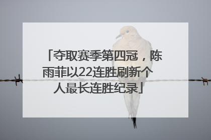 夺取赛季第四冠，陈雨菲以22连胜刷新个人最长连胜纪录