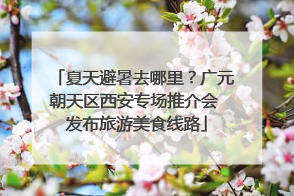 夏天避暑去哪里？广元朝天区西安专场推介会 发布旅游美食线路