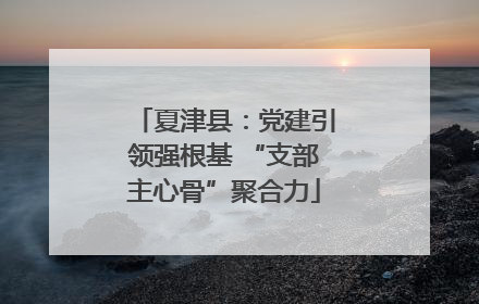夏津县：党建引领强根基 “支部主心骨”聚合力
