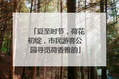 夏至时节，荷花初绽，市民游客公园寻觅荷香雅韵
