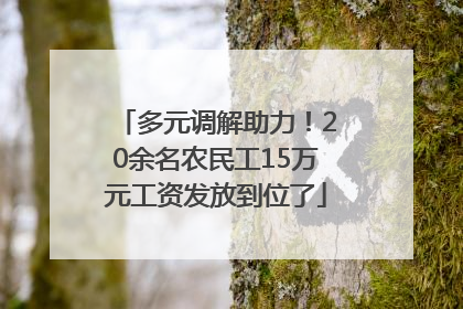 多元调解助力！20余名农民工15万元工资发放到位了
