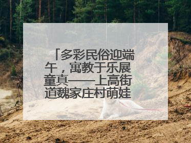 多彩民俗迎端午，寓教于乐展童真——上高街道魏家庄村萌娃传统文化盛宴