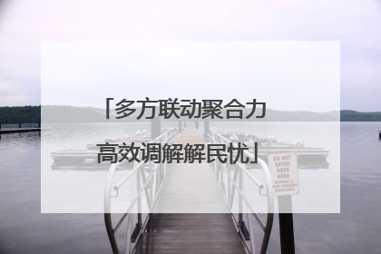多方联动聚合力 高效调解解民忧