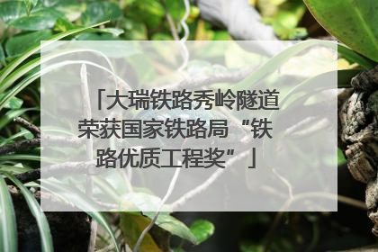 大瑞铁路秀岭隧道荣获国家铁路局“铁路优质工程奖”