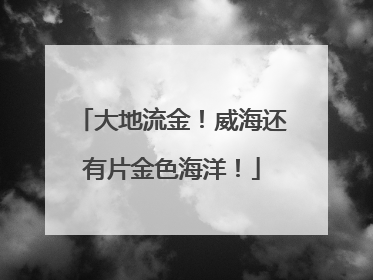 大地流金！威海还有片金色海洋！