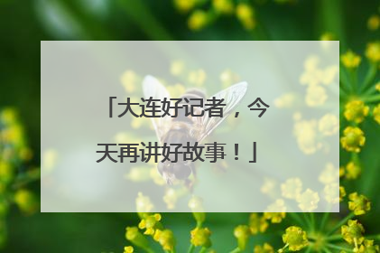 大连好记者，今天再讲好故事！