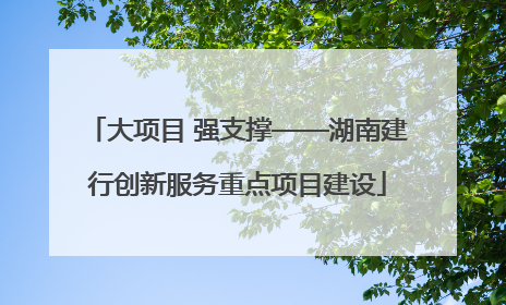 大项目 强支撑——湖南建行创新服务重点项目建设