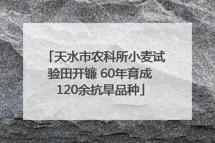 天水市农科所小麦试验田开镰 60年育成120余抗旱品种