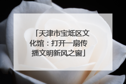 天津市宝坻区文化馆：打开一扇传播文明新风之窗
