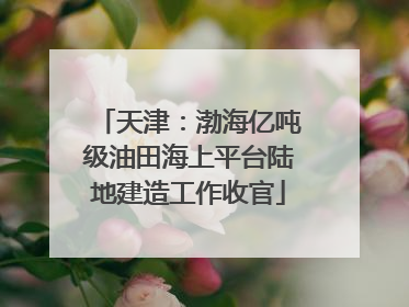 天津：渤海亿吨级油田海上平台陆地建造工作收官
