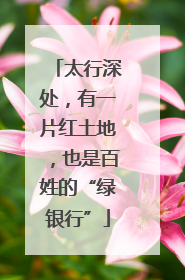 太行深处，有一片红土地，也是百姓的“绿银行”