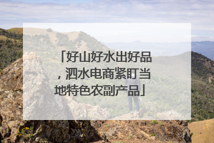 好山好水出好品，泗水电商紧盯当地特色农副产品