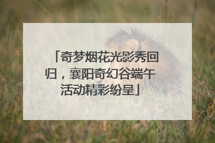 奇梦烟花光影秀回归，襄阳奇幻谷端午活动精彩纷呈