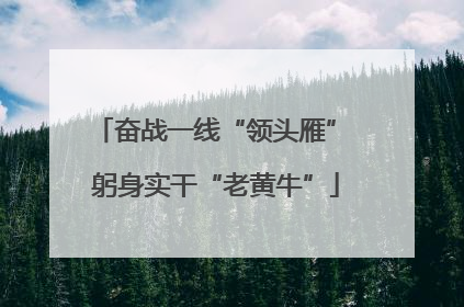 奋战一线“领头雁” 躬身实干“老黄牛”