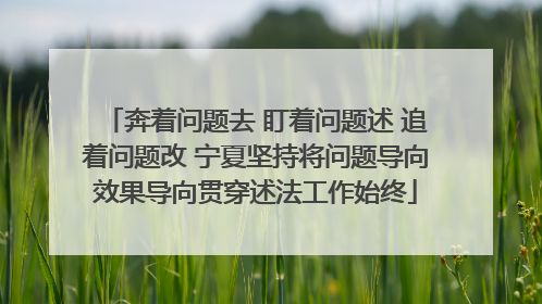 奔着问题去 盯着问题述 追着问题改 宁夏坚持将问题导向效果导向贯穿述法工作始终