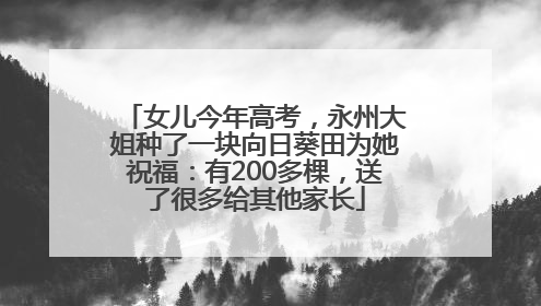 女儿今年高考，永州大姐种了一块向日葵田为她祝福：有200多棵，送了很多给其他家长
