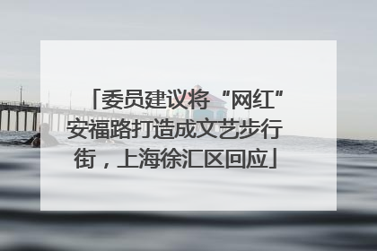 委员建议将“网红”安福路打造成文艺步行街，上海徐汇区回应