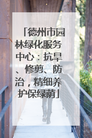 德州市园林绿化服务中心：抗旱、修剪、防治，精细养护保绿荫