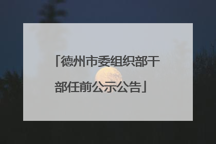 德州市委组织部干部任前公示公告
