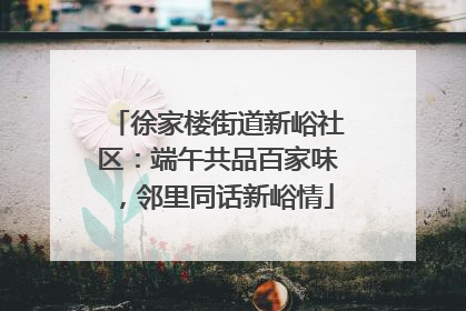 徐家楼街道新峪社区：端午共品百家味，邻里同话新峪情
