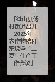 微山县傅村街道召开2025年农作物秸秆禁烧暨“三夏”生产工作会议