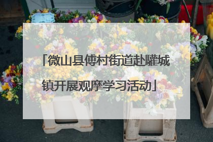 微山县傅村街道赴驩城镇开展观摩学习活动