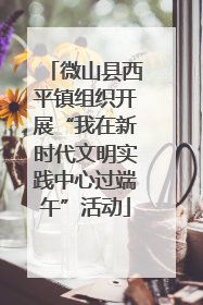 微山县西平镇组织开展“我在新时代文明实践中心过端午”活动