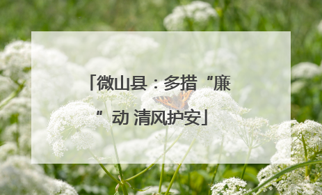 微山县：多措“廉”动 清风护安