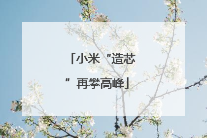 小米“造芯”再攀高峰