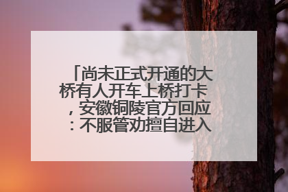 尚未正式开通的大桥有人开车上桥打卡，安徽铜陵官方回应：不服管劝擅自进入，已采取措施