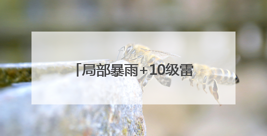 局部暴雨+10级雷雨阵风+局地冰雹！山东迎大范围降雨